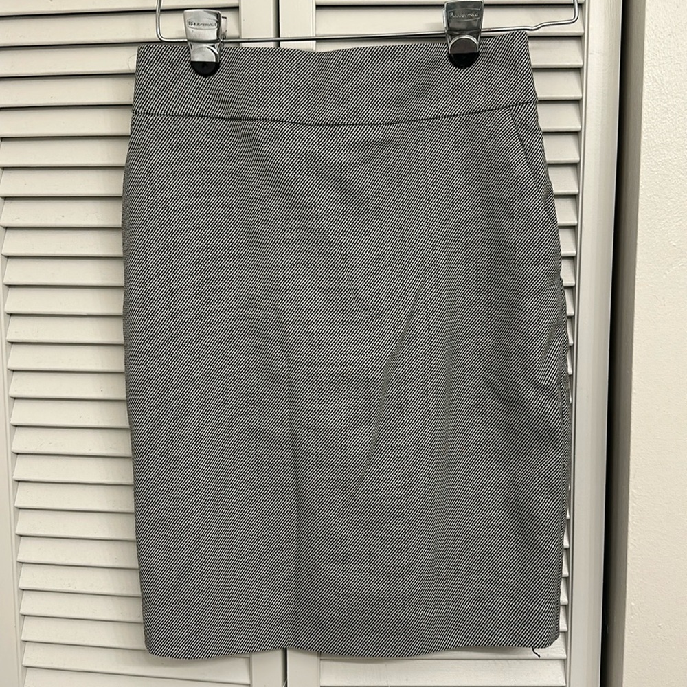 Express Skirt